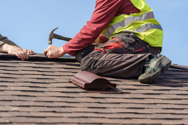 Best Gutter Installation and Roofing  in Holiday City South, NJ